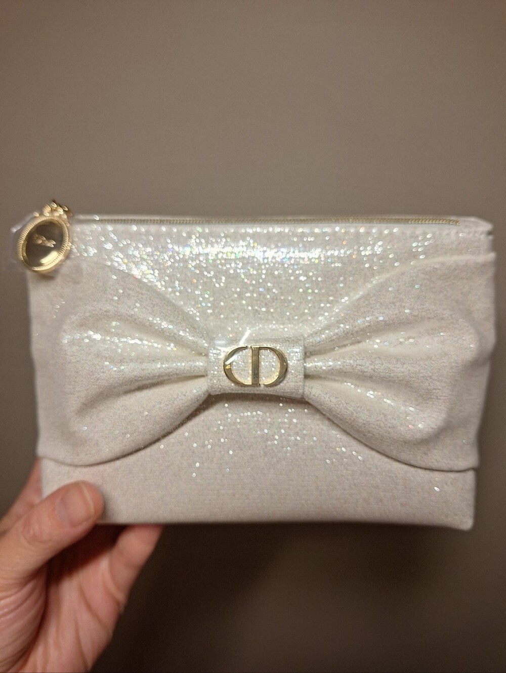 DIOR Cosmetic Pouch